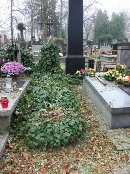 Zdjęcie grobu: Józef ...