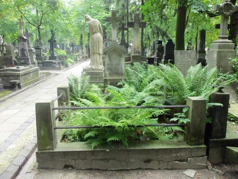 Zdjęcie grobu: Józef Strusiński