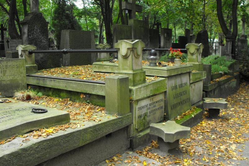 Zdjęcie grobu Górscy (1)
