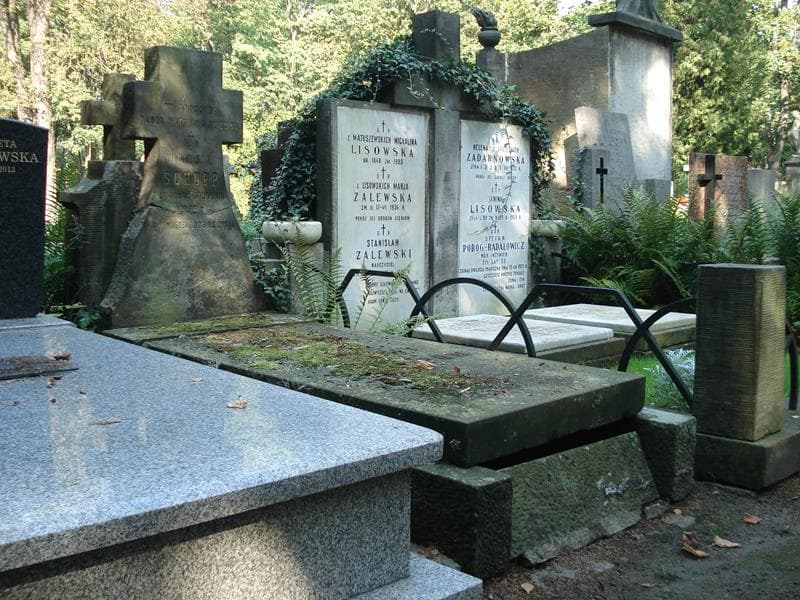 Zdjęcie grobu Halusia Schupp (1)