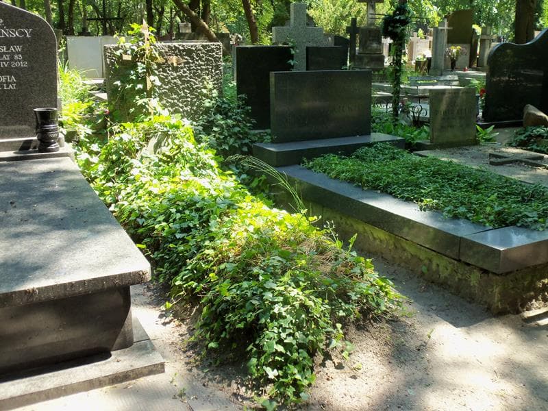 Zdjęcie grobu Konstanty Juszkiewicz (1)