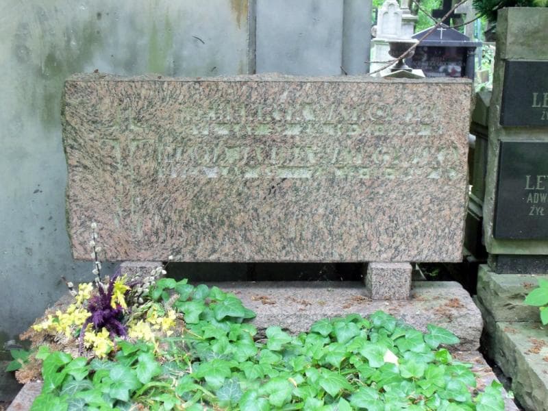 Zdjęcie grobu Henryk Wątkowski (2)