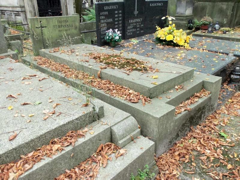 Zdjęcie grobu Wacław Terpiński (1)