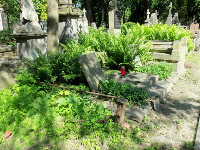 Zdjęcie grobu Agnieszka Antoszczukówna (1)