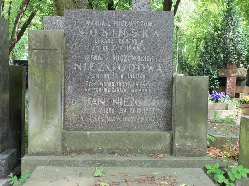 Zdjęcie grobu Irena Niezgodowa (2)