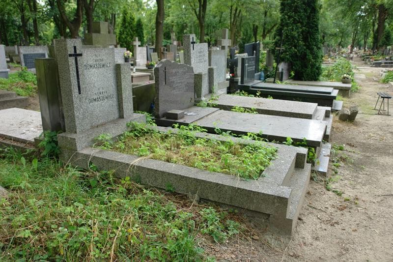 Zdjęcie grobu: Henryk Domaszewicz