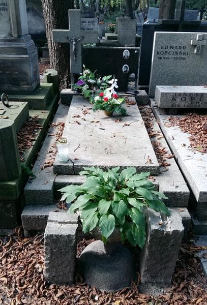 Zdjęcie grobu Nelusia Labedr (1)