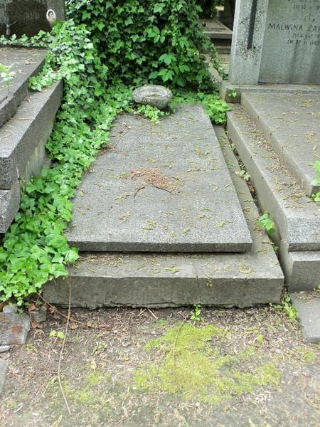 Zdjęcie grobu: Romana Kwaśniewska