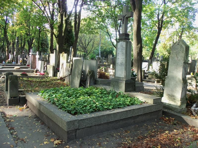 Zdjęcie grobu Wiktor Jaroszyński (1)