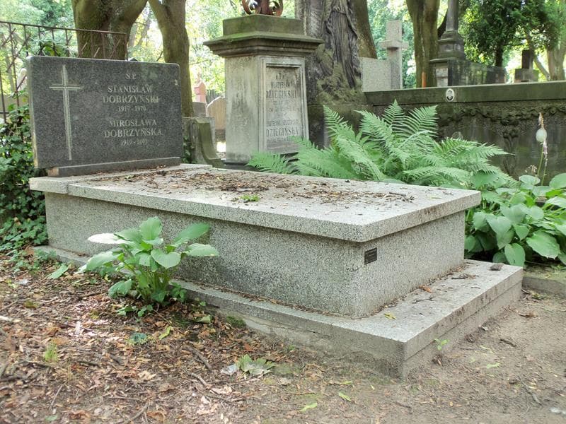 Zdjęcie grobu Stanisław Dobrzyński (1)