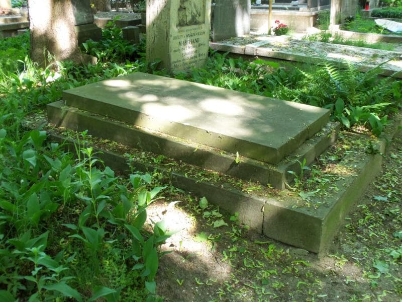 Zdjęcie grobu Jerzy Ciechanowski (1)