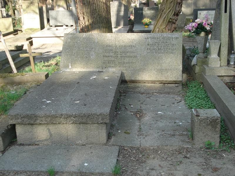 Zdjęcie grobu: Romuald Brzeziński