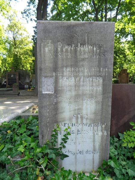 Zdjęcie grobu Kamila Kustrowa (2)