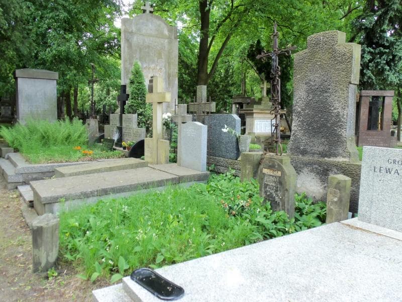 Zdjęcie grobu Teodor Lisowski (1)