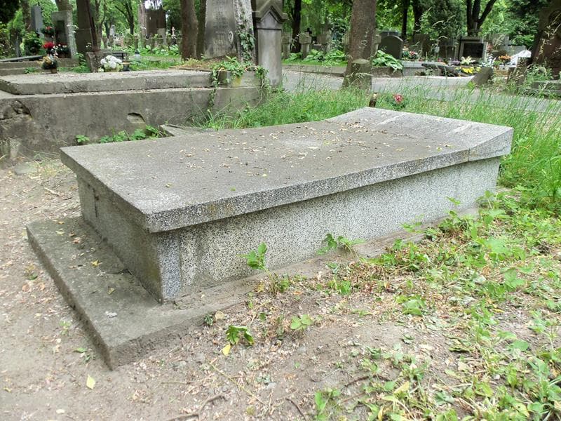 Zdjęcie grobu Henryk Walczak (2)