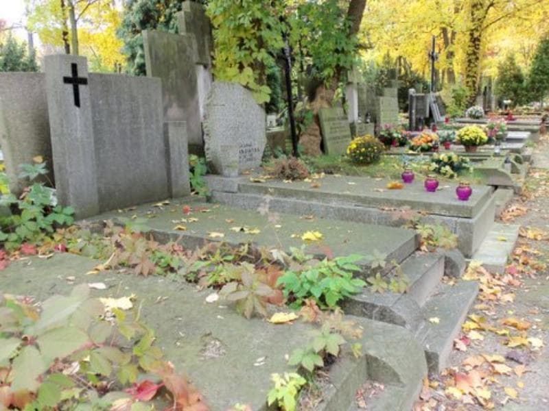 Zdjęcie grobu Ewelina Klementyna Włodarska (1)