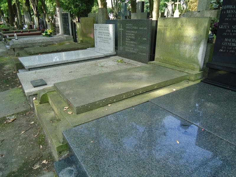 Zdjęcie grobu Olga Sendek (1)