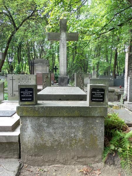 Zdjęcie grobu: Zofia Goszczyńska