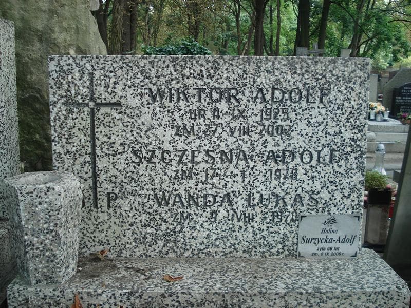 Zdjęcie grobu Szczęsna Adolf (2)