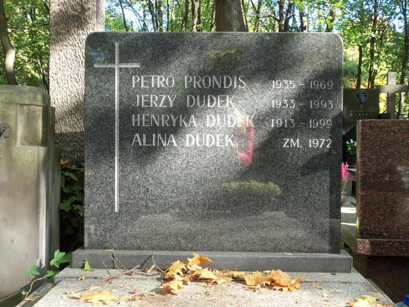 Zdjęcie grobu Henryka Dudek (2)