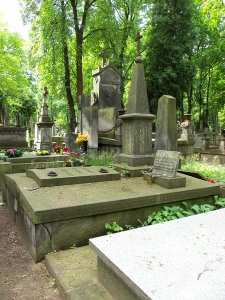 Zdjęcie grobu Wacław Ponikowski (1)
