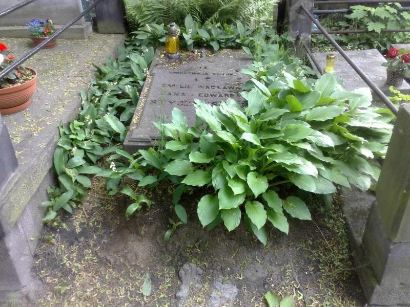 Zdjęcie grobu: Wacław Styczyński