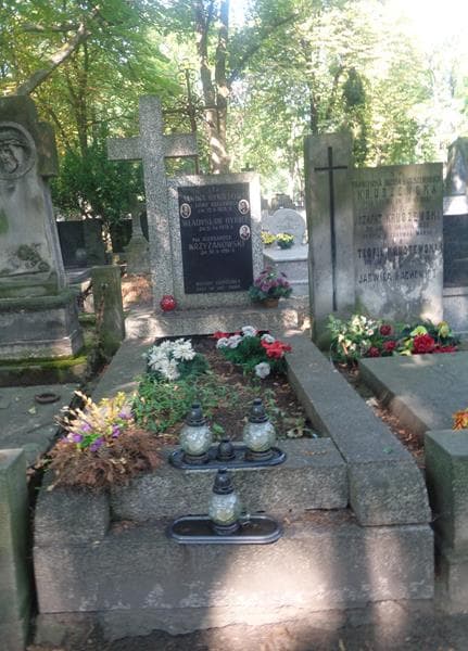Zdjęcie grobu Aleksander Krzyżanowski (1)