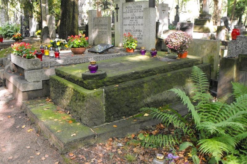 Zdjęcie grobu Janina Ignatowicz (1)