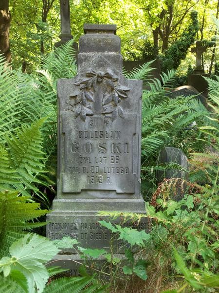 Zdjęcie grobu Bolesław Goski (2)
