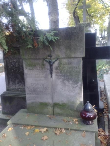 Zdjęcie grobu Jadwiga Maisner - Nieduszyńska (1)