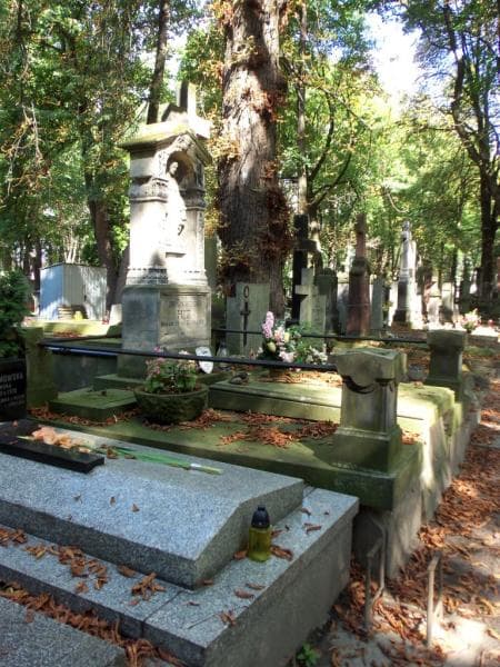 Zdjęcie grobu Grześ Czarzasty (1)