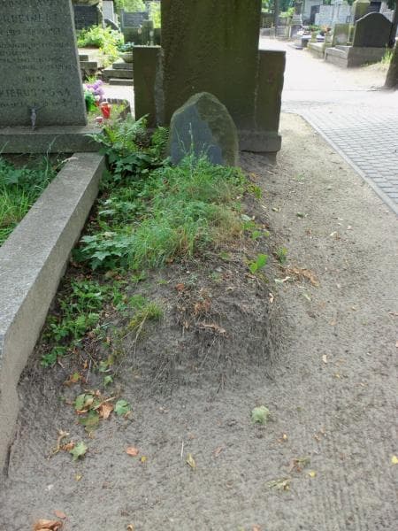 Zdjęcie grobu: Zygmunt Ostromęcki
