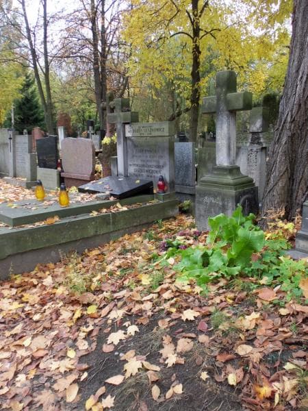 Zdjęcie grobu Marya Ostromęcka (1)
