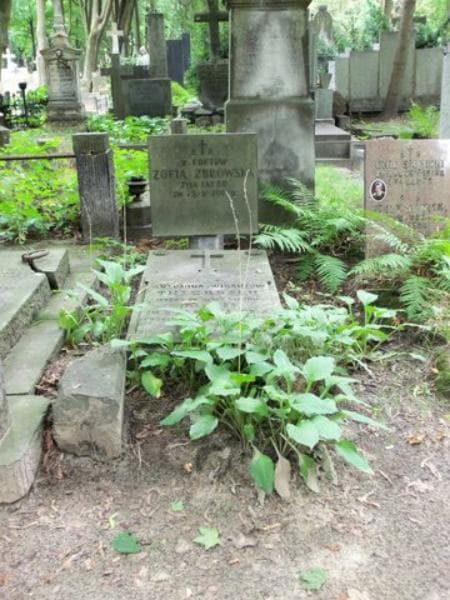 Zdjęcie grobu: Antonina Thierbach