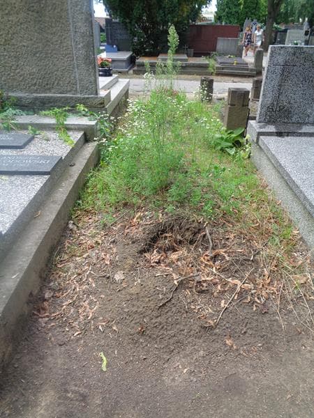 Zdjęcie grobu Pole Grobowe (1)