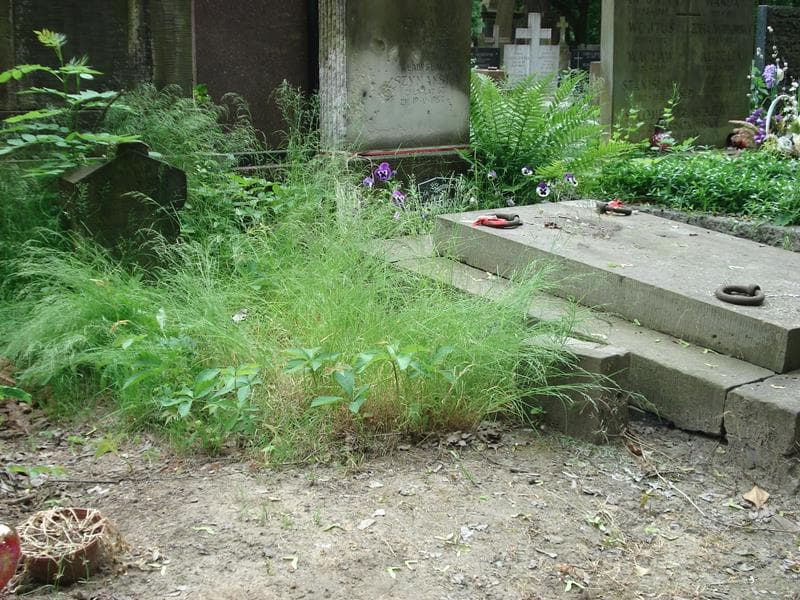 Zdjęcie grobu Wacław Gołoński (1)