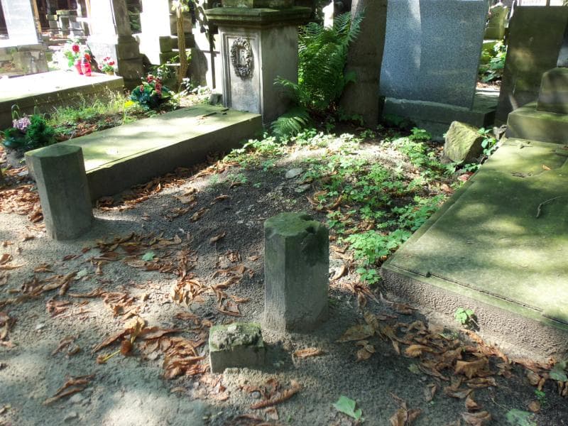 Zdjęcie grobu Juljan Lehman (1)