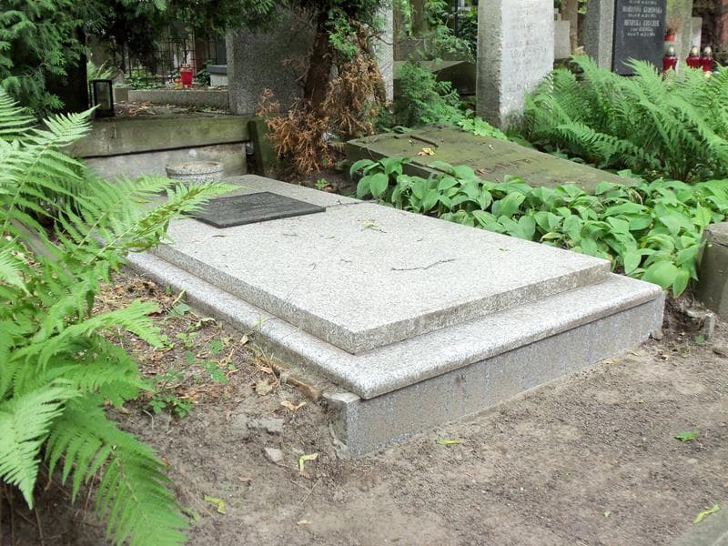 Zdjęcie grobu Henryk Niedźwiecki (1)