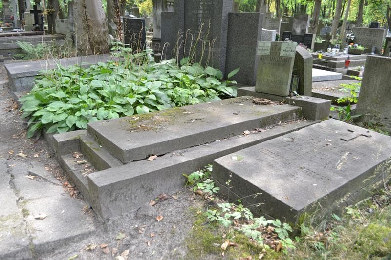 Zdjęcie grobu: Leon Kucharski