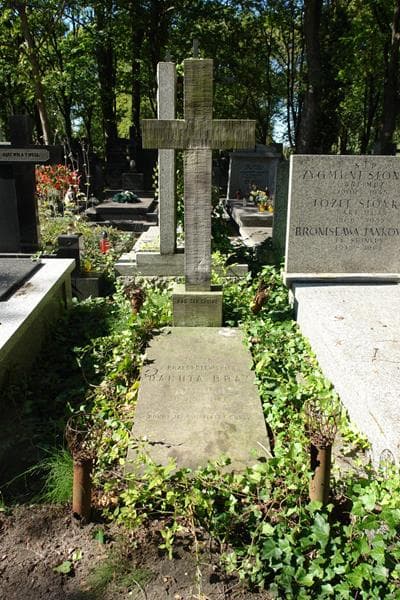 Zdjęcie grobu: Danuta Bray