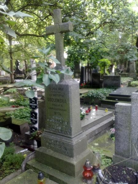 Zdjęcie grobu Aloizy Omiecki (1)
