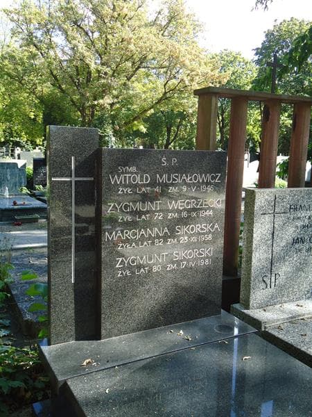 Zdjęcie grobu Zygmunt Węgrzecki (2)