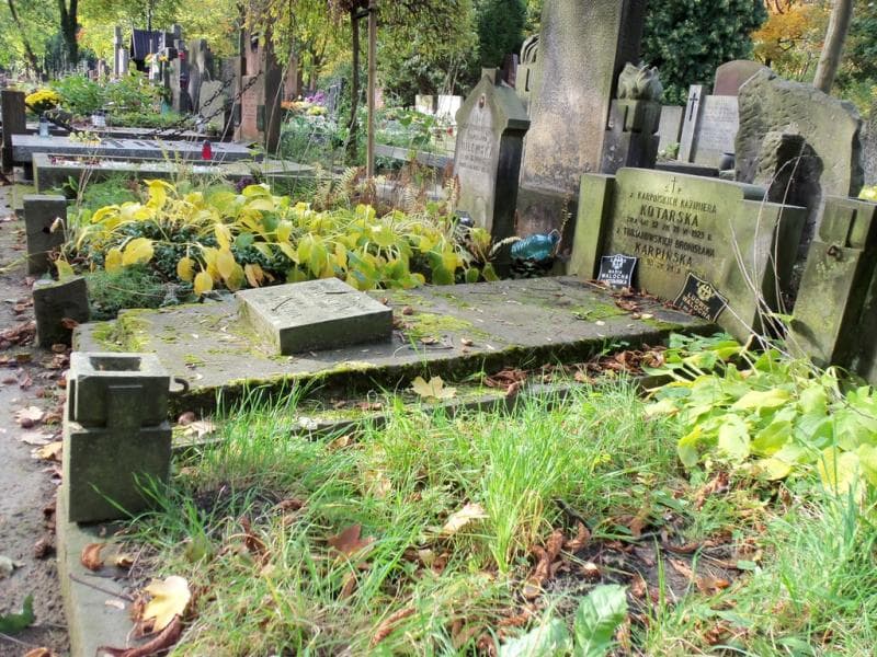 Zdjęcie grobu Ludwik Walocha (1)