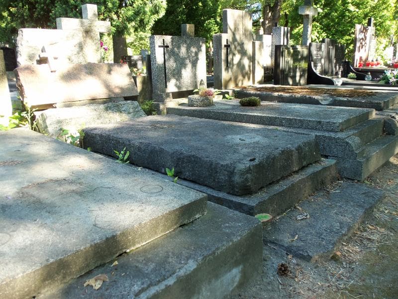 Zdjęcie grobu Karolina Ogonowska (1)