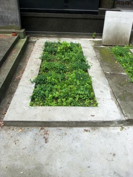 Zdjęcie grobu: Anonim