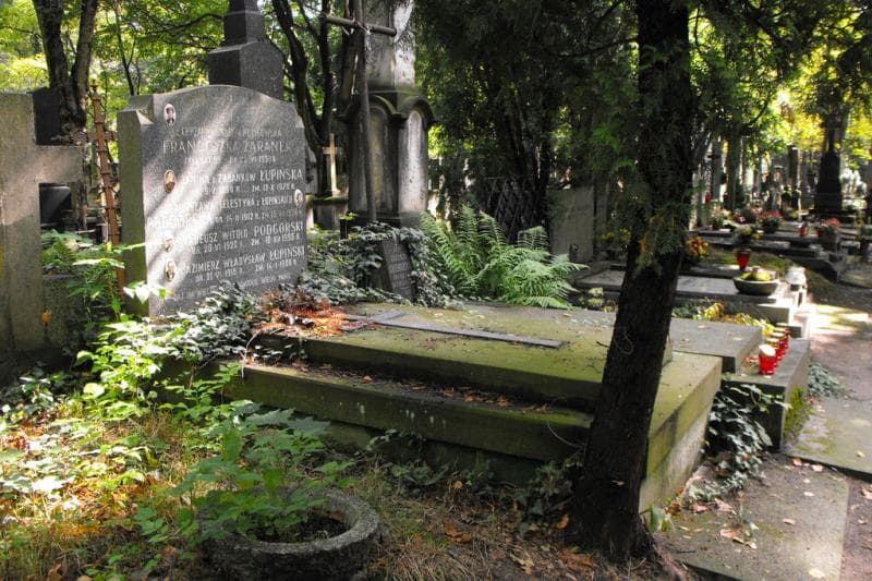 Zdjęcie grobu Władysława Celestyna Podgórska (1)
