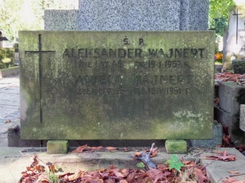 Zdjęcie grobu Aleksander Wajnert (2)