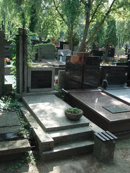 Zdjęcie grobu Edmund Janiszewski (1)