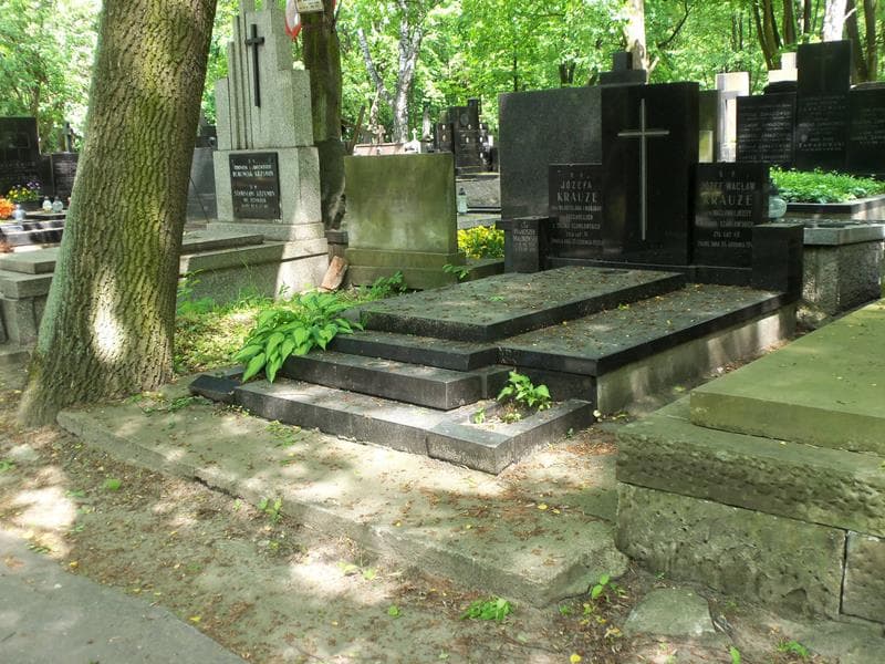 Zdjęcie grobu Franciszek Malinowski (1)