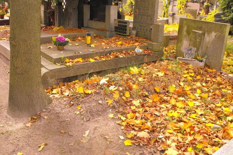 Zdjęcie grobu Anonim (1)